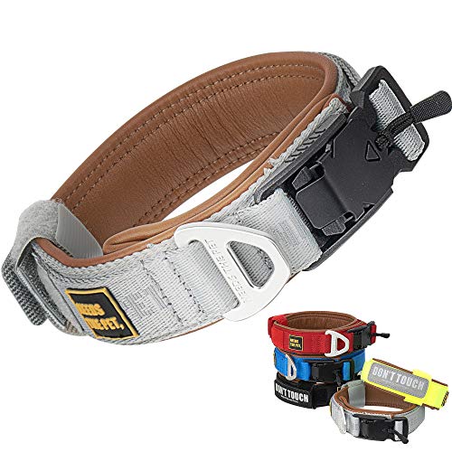 The Comfort Collar Hundehalsband, Halsband, weiches Rindsleder, gepolstert, reflektierender Klettverschluss, Metallschnalle für große Hunde, leicht zu kontrollierender Griff (S,M,L) (XXS, Hellgrau) von NEEDS THE PET