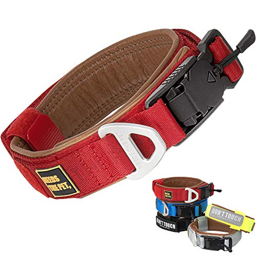 The Comfort Collar Hundehalsband, weiches Rindsleder, gepolstert, reflektierender Klettverschluss, Metallschnalle für große Hunde, leicht zu kontrollierender Griff (S,M,L) (XS, Passion Red) von NEEDS THE PET