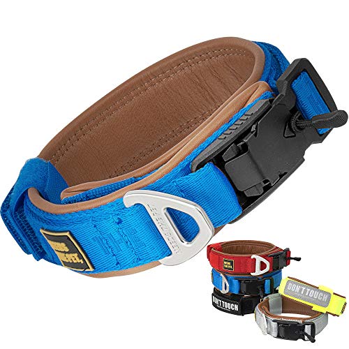 The Comfort Halsband, weiches Rindsleder gepolstertes Hundehalsband für alle Rassen, reflektierender Patch, Metallschnalle für große Hunde, einfache Kontrolle Griff (S,M,L) (XS, Blau) von NEEDS THE PET