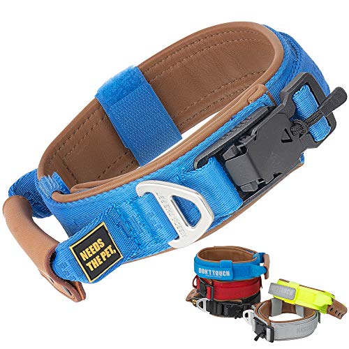 The Comfort Hundehalsband, weiches Rindsleder, gepolstert, reflektierender Klettverschluss, Metallschnalle für große Hunde, leicht zu kontrollierender Griff (S,M,L) (S, Blau) von NEEDS THE PET