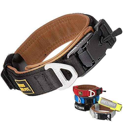 The Comfort Hundehalsband, weiches Rindsleder, gepolstert, reflektierender Klettverschluss, Metallschnalle für große Hunde, leicht zu kontrollierender Griff (S,M,L) (XXS, Classic Black) von NEEDS THE PET