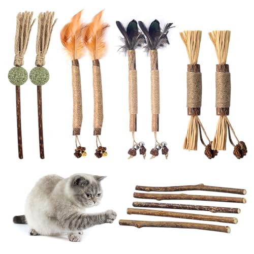 NEERIX 13 Stück Katzenminze Sticks für Katzen,Kauhölzer für Katzen,Katzenminze Sticks,Katzen Sticks Matatabi Kausticks,Kauholz Katze Catnip Sticks(8 Katze Kauspielzeug+5 Kausticks) von NEERIX