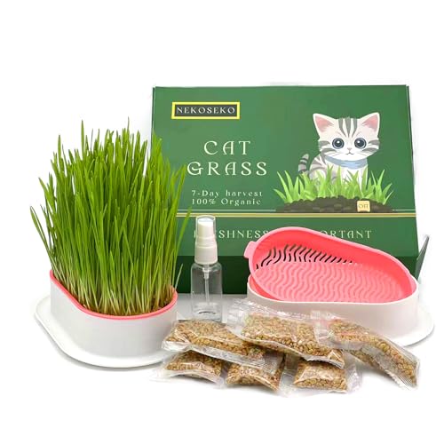 NEKOSEKO Hydrokultur-Katzengras, Sie können es sechs Mal pflanzen, kleine Gießkanne, erdloses Katzengras-Pflanzset, einfach zu pflanzen, 100 % biologisch, Katzengras für Hauskatzen (Rosa) von NEKOSEKO