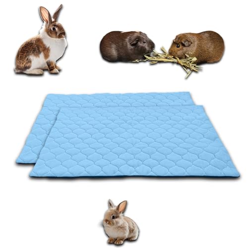 NEO SOLVO 2 Stück Käfigeinlage für Kaninchen und Meerschweinchen - perfekte Einstreu für Innenkäfige und C&C - saugfähig, wasserdicht - 60cm x 50cm - Blau von NEO SOLVO