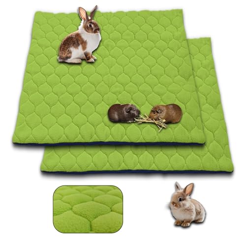 NEO SOLVO 2 Stück Käfigeinlage für Kaninchen und Meerschweinchen - perfekte Einstreu für Innenkäfige und C&C - saugfähig, wasserdicht - 105 x 105cm - Grün von NEO SOLVO