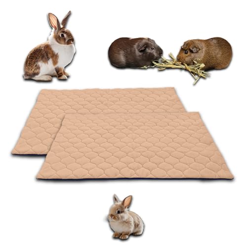 NEO SOLVO 2 Stück Käfigeinlage für Kaninchen und Meerschweinchen - perfekte Einstreu für Innenkäfige und C&C - saugfähig, wasserdicht - 60cm x 50cm - Pfirsich von NEO SOLVO