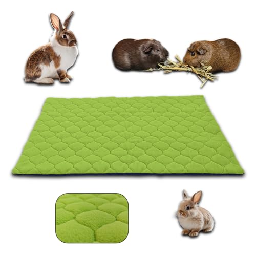 NEO SOLVO Fleece-Matte für Kaninchen und Meerschweinchen – 50 x 60 cm – perfekte Matte zum Verstecken in Innenkäfigen und C&C – saugfähig, wasserdicht – einfach zu kombinieren und zu reinigen – Grün von NEO SOLVO