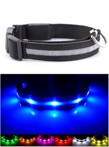 NEO+ Sie die Hunde Sichtbarkeit und Sicherheit USB Wiederaufladbare LED Hund Sicherheit Kragen - Ultra Helle LED - Verbunden mit Geräten - Keine Batterien - Hund Wird mehr sichtbar & sicher von NEO+