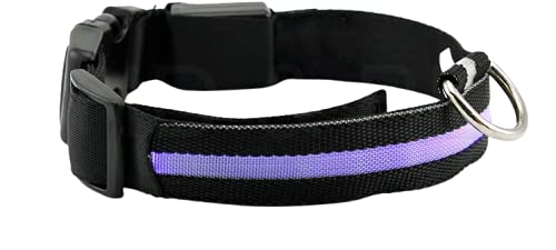 NEO+ Sie die Hunde Sichtbarkeit und Sicherheit USB Wiederaufladbare LED Hund Sicherheit Kragen - Ultra Helle LED - Verbunden mit Geräten - Keine Batterien - Hund Wird mehr sichtbar & sicher von NEO+