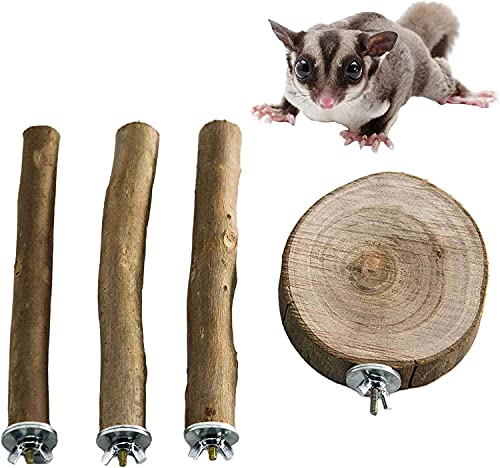 NEOUZA Sugar Glider Käfig-Ständer und Plattform aus natürlichem Eukalyptus, Molarpfoten schleifen, stehendes Kletterspielzeug von NEOUZA