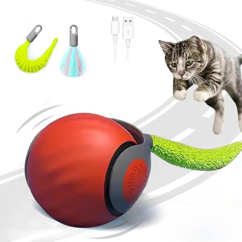 Interaktives Katzenball Spielzeug, Elektrisch Katzenspielzeug Ball interaktives Spielzeug mit Schwanz für Katzen Katzenspielzeug Selbstbeschäftigung,Über USB Wiederaufladbares(Short Tail) orange von NEOVSUNY