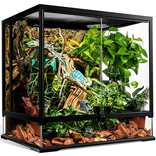 NEPTONION 43 Gallonen professionelles Glasterrarium 60cm x 45cm x 60cm, langlebiger Reptilien-Lebensraumtank, mit hitzebeständigem Rahmen aus Aluminiumlegierung von NEPTONION