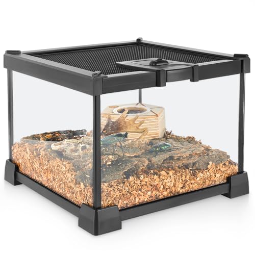 NEPTONION Mini-Reptilien-Glas-Terrarium, 20,3 x 20,3 x 15,2 cm, Vollsicht-Tank, kleine Amphibien, Glas-Lebensraum, Käfig mit Futterschlitz und Kastenschloss von NEPTONION