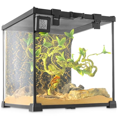 NEPTONION Professionelles Glas-Terrarium, langlebig, Reptilien-Lebensraum, 30 x 30 x 30 cm von NEPTONION