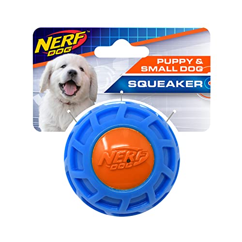 NERF Dog TPR EXO Quietschball, 6,4 cm, Blau/Orange von NERF