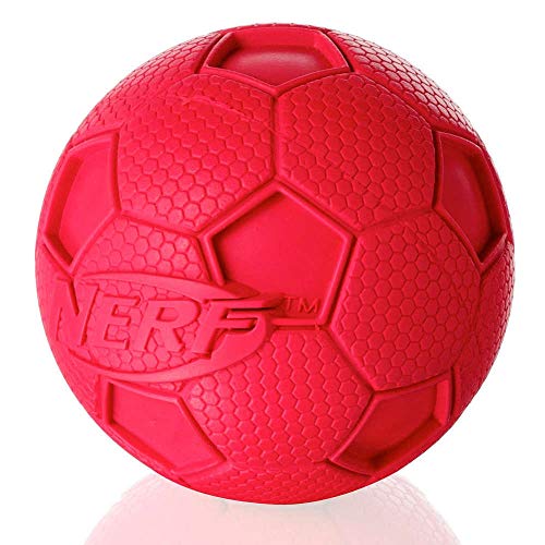 Nerf Dog Hundespielzeug Fussball mit Quietschgeräusch, farblich sortierte Lieferung rot oder grün, 10cm von NERF