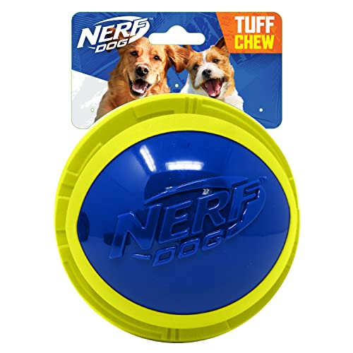 Nerf Dog Megaton-Ball aus TPR/Schaumstoff, 14 cm, Blau/Grün von NERF