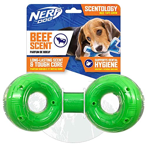 Nerf Green Scented Beef Scentology Infinity Double Ring Dog Toy, Small von NERF