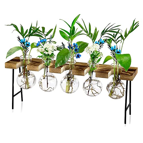 NERTOEE Vermehrungsstationen Desktop-Luftpflanzen-Terrarium, Glas-Pflanzgefäß, Glasvase mit HolzstäNder - Pflanzenterrarium von NERTOEE