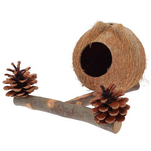 1 Satz Nestpfosten Für Papageien Stehender Stock Eines Papageis Kleine Vogelspielzeuge Vogel Ruhestand Natural Pine Cones Sitzstangen Für Vogelkäfige Kiefernzapfen Brown NESTINGHO von NESTINGHO