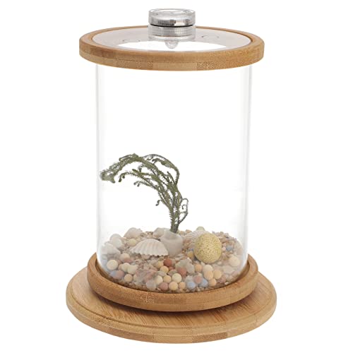 NESTINGHO 1 Satz Desktop Micro View Aquarium Hydroponischer Reinigungstank Mini-künstliche Pflanzen Mini-Aquarium Anfänger-Aquarium Künstliche Sukkulente Transparente Fischschale Bürobedarf von NESTINGHO