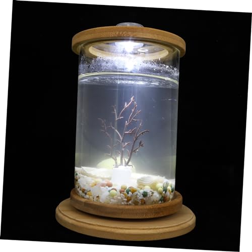 NESTINGHO 1 Satz Desktop Micro View Aquarium hydroponische Pflanzen Desktop-Dekoration bürodekorationen Dekoration Schlafzimmer hydroponisches Aquarium Schmücken Desktop-Aquarium Fischglas von NESTINGHO