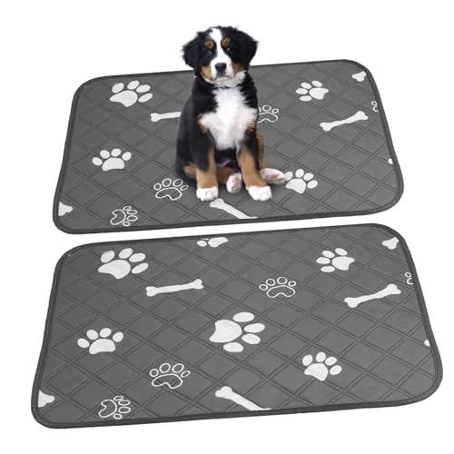 NESTINGHO 2 Stück Hunde Urin Pad Haustier PIPI Pads Welpenknochen Hunde PIPI Pads Hunde Töpfchen Pad Hunde PIPI Pad Urin Pads Für Kleine Hunde Urin Hunde PIPI Pad Urin Pads Für von NESTINGHO