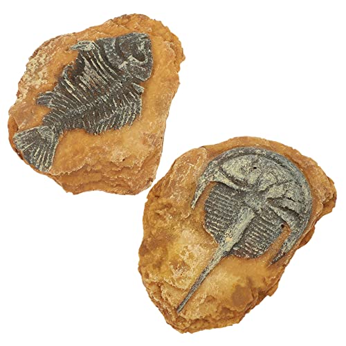 NESTINGHO 2Er-Box simuliertes Harzfossil Eidechsenspielzeug für Kinder Spielzeuge Grabset Reptile Decor Snake Box Ornaments Terrariendekore für Kleintiere Simulation von Reptiliendekoren von NESTINGHO