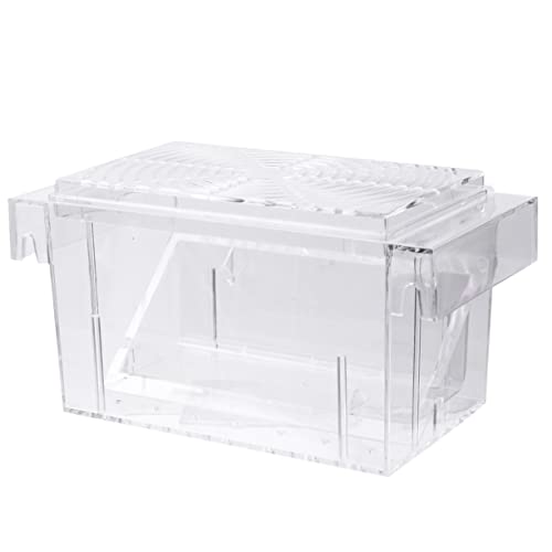 NESTINGHO Kasten Isoliertes Aufzuchtbecken Guppys Zuchtinkubator Für Fischbrüterei Garnelen Inkubator Acryl-Aquarium Zuchtbecken Für Aquarien Betta Fisch Tumbler Inkubator Transparent von NESTINGHO