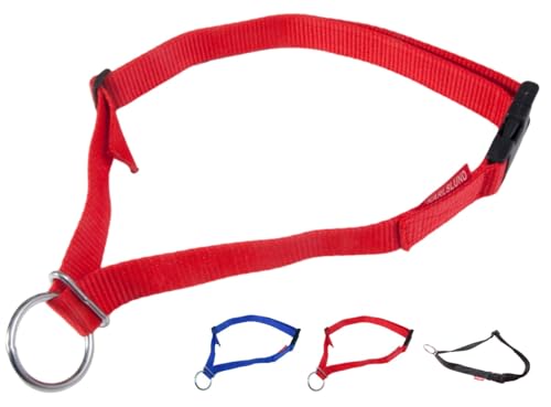 NETPROSHOP Sicherheits-Halsband für Ihr Pferd mit Sicherheitschnalle Nylon, Farbe:Rot von NETPROSHOP