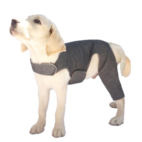 Hundebody Nach Op Body Hund, Wundschutzanzüge für Hunde, Anti-Wundlecken Op Mit Bein, Kniebandage Hund Hinterbein Genesungsanzug für Hundekragen Alternative Schutz Bodysuit (grau, 2XL) von NEUSOP