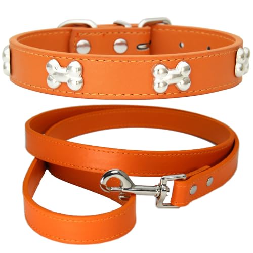 NEUSOP Hundehalsband aus Leder, verstellbar, Hundeleine, Hundehalsband, Halsbänder für Hunde, Katzen, Welpen, Halsband für Haustiere XS von NEUSOP