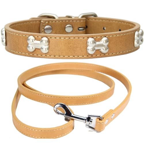 NEUSOP Hundehalsband aus Leder, verstellbar, Hundeleine, Hundehalsband, Halsbänder für Hunde, Katzen, Welpen, Halsband für Haustiere XS von NEUSOP