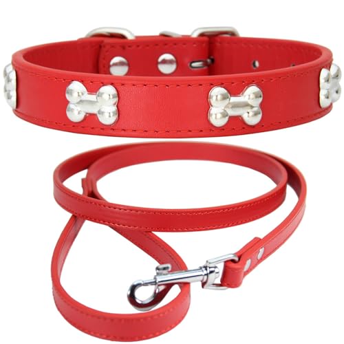 NEUSOP Hundehalsband aus Leder, verstellbar, Hundeleine, Hundehalsband, Halsbänder für Hunde, Katzen, Welpen, Halsband für Haustiere XS von NEUSOP