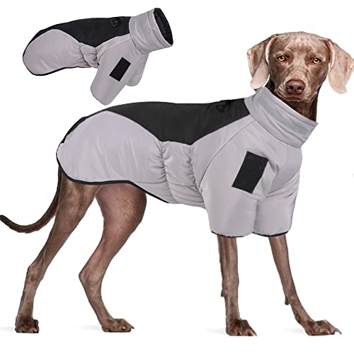 NEVYTOL XL-6XL Wintermantel Hund, Winddicht und Wasserdicht Hundemantel Grosse Hunde, Warm Halten Hundejacke mit Reflektierendes Band Geeignet Geeignet für Hunde, um im Winter Warm zu Halten von NEVYTOL