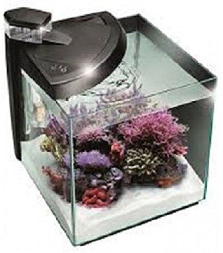 Newa Acquario Newamore Marine NMO 50R Nero 45 litri von NEWA