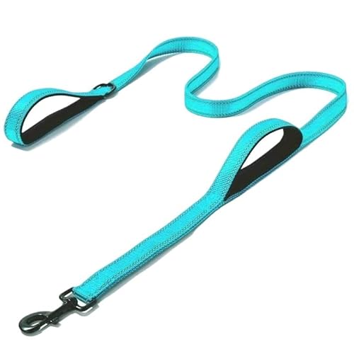 Hundeleine, Outdoor-Reise, Hundetrainingskette, strapazierfähig, Doppelgriff, Leine für mehr Kontrolle, Sicherheitstraining, Doppelgriff, Blau, Größe XL - 180 cm von NEWTRASI