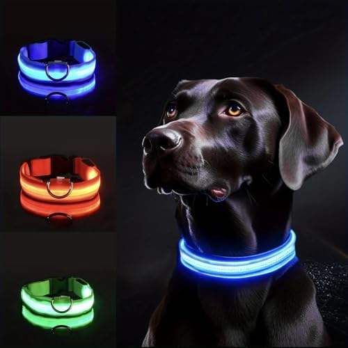 Reflektierendes LED-Hundehalsband für Sicherheit bei Nacht – langlebig, geometrisches Muster, batteriebetrieben, ideal für kleine/mittelgroße Rassen (Rosa, XS) von NEWTRASI