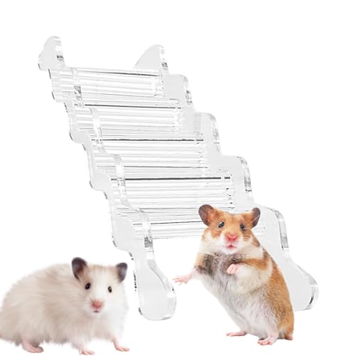 Hamstertreppe, Hamsterleiter, Stabile Kletterleiter für Hamster, Kleintierrampe, Hamstermöbel für Rennmäuse, Mäuse, Kleintiere von NGUMMS