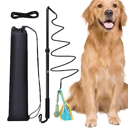 Hund retas Stick,Teleskopische Dog Teaser Wand | Tragbare Teleskop Welpe Jagd Schwanz Interaktive Hund Outdoor-Spielzeug für Haustiere Welpen Katze Indoor Spaß von NGUMMS