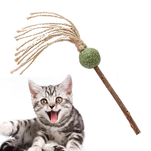 Katzenspielzeug Catnip | Silvervine Cat Nip Toys Kauspielzeug für Katzen zur Zahnreinigung, interaktives Katzenspielzeug für die Übung von Katzen und Kätzchen im Innenbereich von NGUMMS