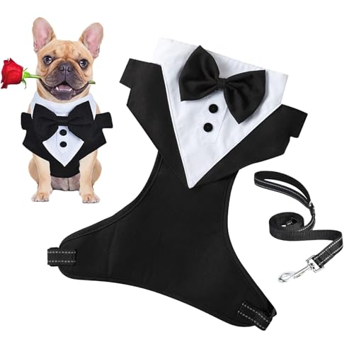 NGUMMS Hochzeitsanzug für Hunde, Hunde-für kleine Hunde,Hochzeitskleidung, Party-Fliege-Anzug mit Zugseil - Formaler für Hunde, Hundeoutfit, formelle Haustierkleidung, Haustierkostüm für formelle von NGUMMS