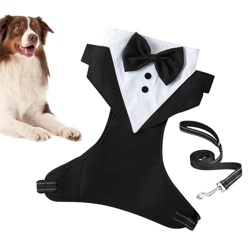 NGUMMS Hunde-für kleine Hunde, Hunde-Hochzeitsoutfit,Formelle Hochzeitskleidung für Haustiere mit Fliege und Zugseil - Hunde-Outfit, Hochzeitskleidung, formeller für Hunde, Welpenkleidung für formelle von NGUMMS