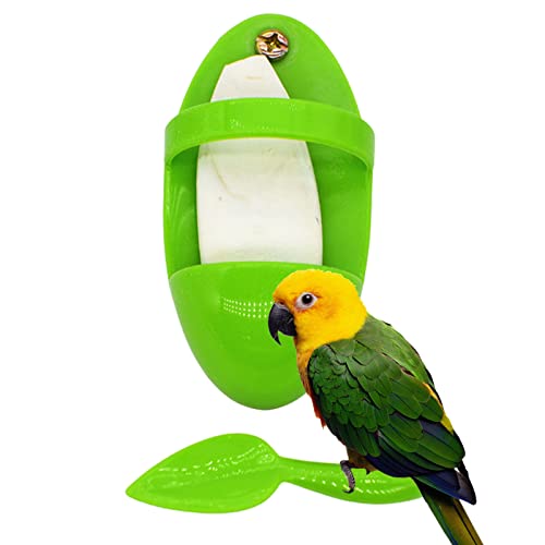 NGUMMS Sepia Knochenhalter für Vogelkäfig, Halter für Tintenfischknochen, Gläser für Vogelkäfige, Cuddle Bone Holder für Cockatiels, Sittiche, Budgies Finken von NGUMMS