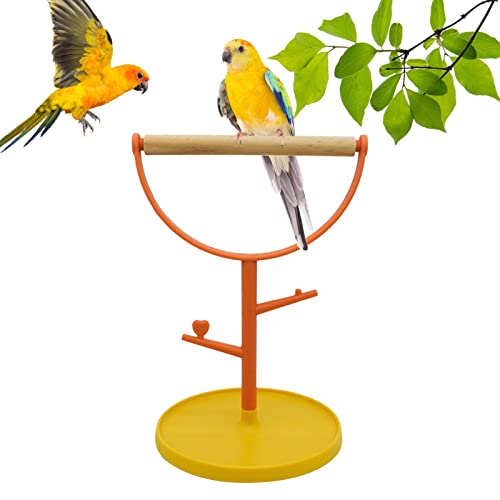 NGUMMS Vogeltrainingsständer | Vogelkäfig-Halter-Ständer für Sittiche | Bissfeste Tischplatte aus Holz für Papageien, Lovebirds, Nymphensittiche von NGUMMS