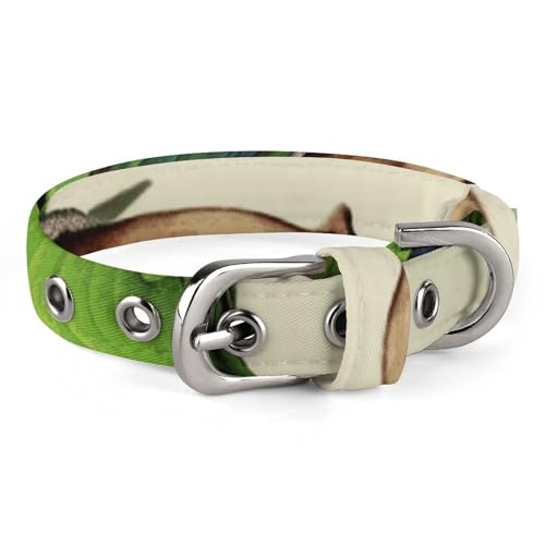 Haustier-Halsband, Papageien-Motiv, personalisierbar, für kleine und mittelgroße Hunde, verstellbare Größen von NHYDSPQ