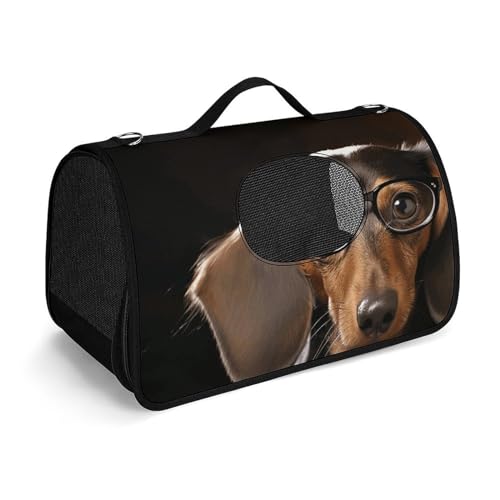 Haustier-Handtasche, Dackel-Druck, modische Hundetragetasche für Katzen und kleine Hunde, jede Reise und Outdoor-Aktivitäten. von NHYDSPQ