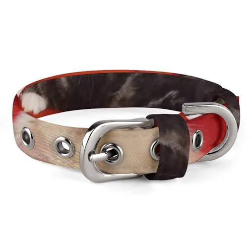 Haustierhalsband, Katzendruck, personalisierbar, für kleine und mittelgroße Hunde, verstellbare Größen von NHYDSPQ