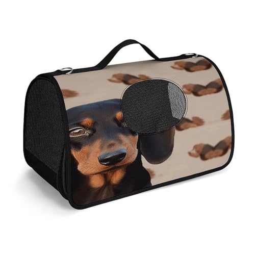 NHYDSPQ Haustier-Handtasche, Dackel-Druck, modische Hundetragetasche für Katzen und kleine Hunde, jede Reise und Outdoor-Aktivität, 45 x 26 x 23,5 cm, Stil von NHYDSPQ