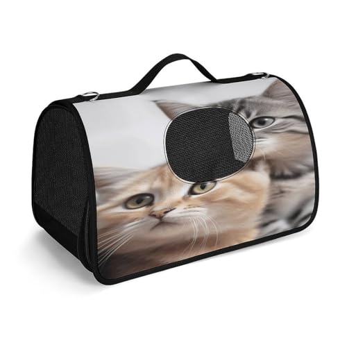 NHYDSPQ Haustier-Handtasche, Katzen-Druck, modische Hundetragetasche für Katzen und kleine Hunde, jede Reise und Outdoor-Aktivität, 45 x 26 x 23,5 cm, Stil von NHYDSPQ